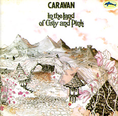 In The Land Of Grey And Pink_f